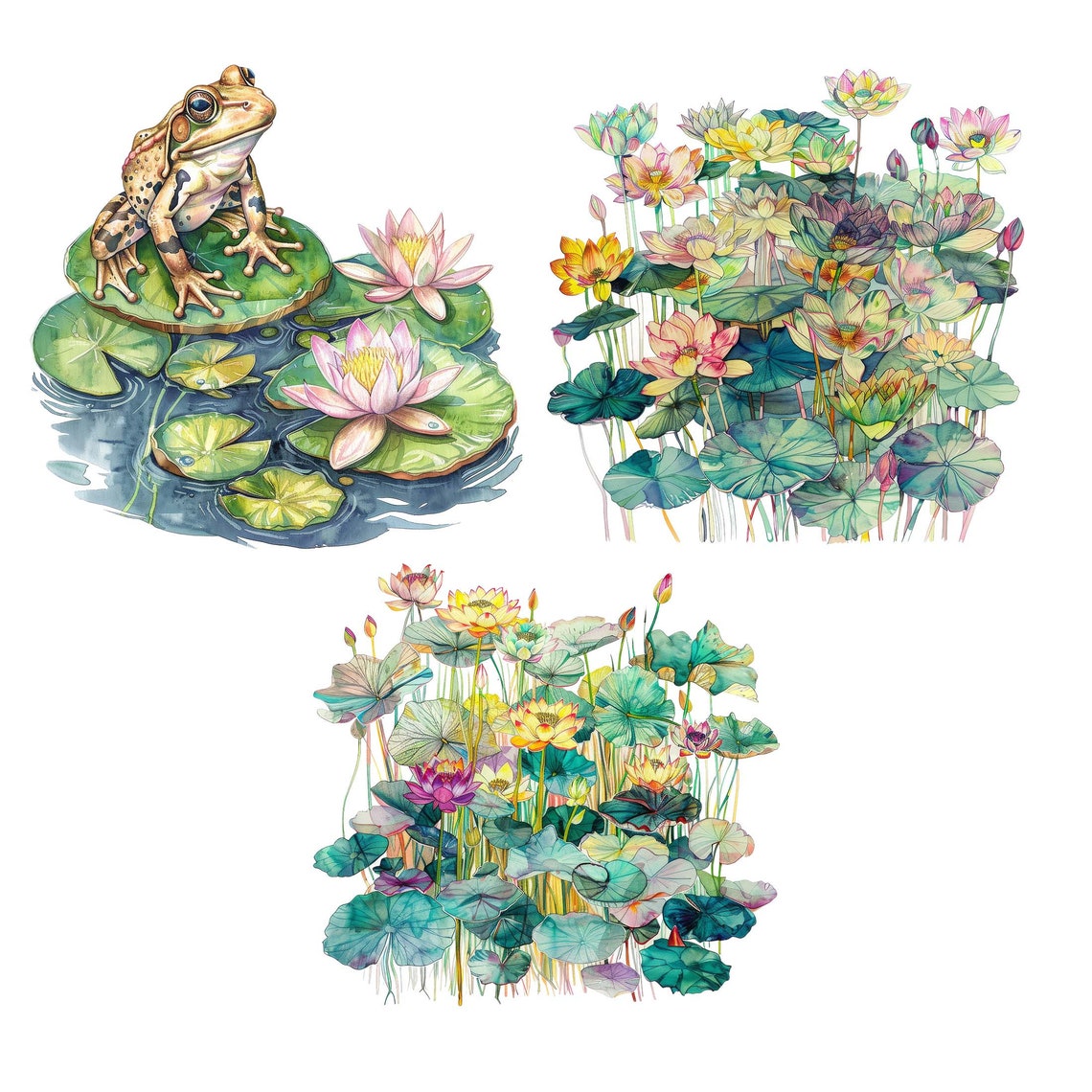 Whimsical Watercolor Frog Clipart Frog Images Beautiful Frog and Lily