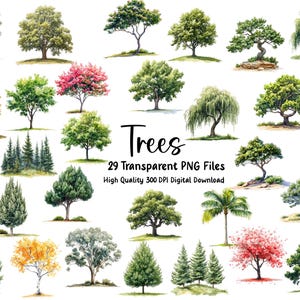 May include: A collection of 29 watercolor illustrations of trees, including palm trees, oak trees, pine trees, and willow trees. The illustrations are high quality and have a transparent background, making them perfect for digital projects.