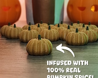 Mini Pumpkin Spice Pumpkins | Set of 20 Tiny Fall Decorations | Made with Real Pumpkin Spice!