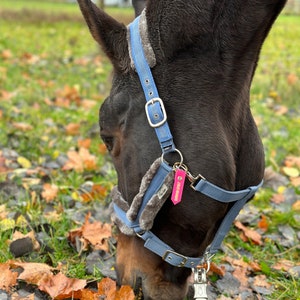 Notfallmarke Pferd, SOS-Anhänger, Personalisierter Anhänger mit Pferdenamen und Handynummer/Telefonnummer, Halfter-Tag Bild 3