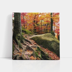 Carpazi ucraini in autunno / Tela tesa / Poster su carta artistica / Arredamento autunnale, Arte murale della natura, Gamma di colori rosso-arancio