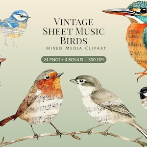 Pode incluir: Uma coleção de ilustrações de pássaros com padrões de partituras musicais vintage sobrepostos em seus corpos. O texto diz VINTAGE SHEET MUSIC BIRDS MIXED MEDIA CLIPART 24 PNGS + 4 BONUS 300 DPI. Os pássaros são representados em azul, laranja, marrom e cinza.