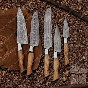 Handmade Damascus Steel Kitchen Chef Knives, Damascus Kitchen Knife Set 5 Pieces With Leather Bag