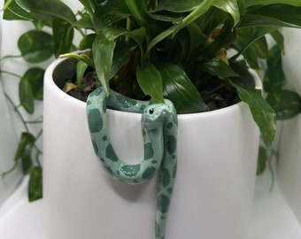 Indoor pot plant decor snake