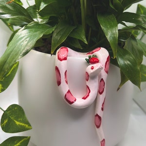 Indoor pot plant decor