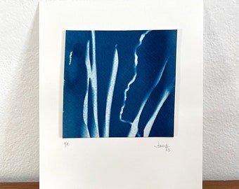 Botanical Cyanotype - Sea Plants #01