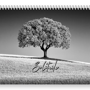 2027 Solitude Wall Calendar by Kaleidoscope Artisan - Peaceful Paths with Holidays