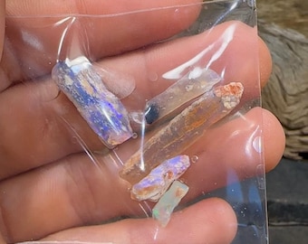 Auktions-Durchfall = Dein Gewinn! - Jetzt mehr als 50% Rabatt auf UVP - 16.4cts - Lightning Ridge, fossiles Rohopal-Exemplar. Australischer Opal