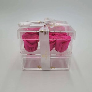 Bella Rose Collection  Acrylic Jewelry (9 Large Preserved Roses)
