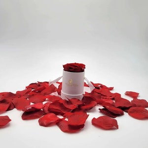 Custom Single Preserved Rose in a Round Box