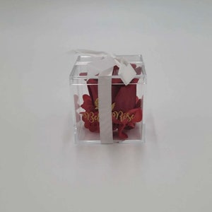 Bella Rose Collection Luxe Girlfriend  Acrylic Gift Box ( Bridesmaids)