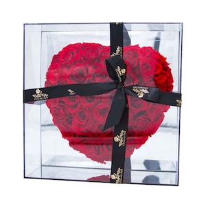 Bella Rose Collection Infinity Mirror Gift Box ( Wedding Gift)