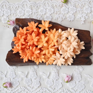 Puede incluir: Una colección de pequeñas flores de múltiples pétalos en un degradado que va del naranja intenso al melocotón pálido, dispuestas sobre un trozo de madera natural oscura y texturizada. Las flores son uniformes en forma y tamaño, con acabado mate.