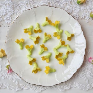 50 pcs Pakalana Clay Flowers –Honey Yellow Green, Hand-Painted with Oil Colors for Lei Making or Crafts supplies,Jewelry making, DIY earrins