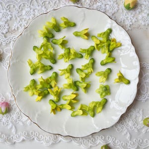 50 Hand-Painted Clay Pakalana Flowers: Yellow-Green Lei Making Supplies