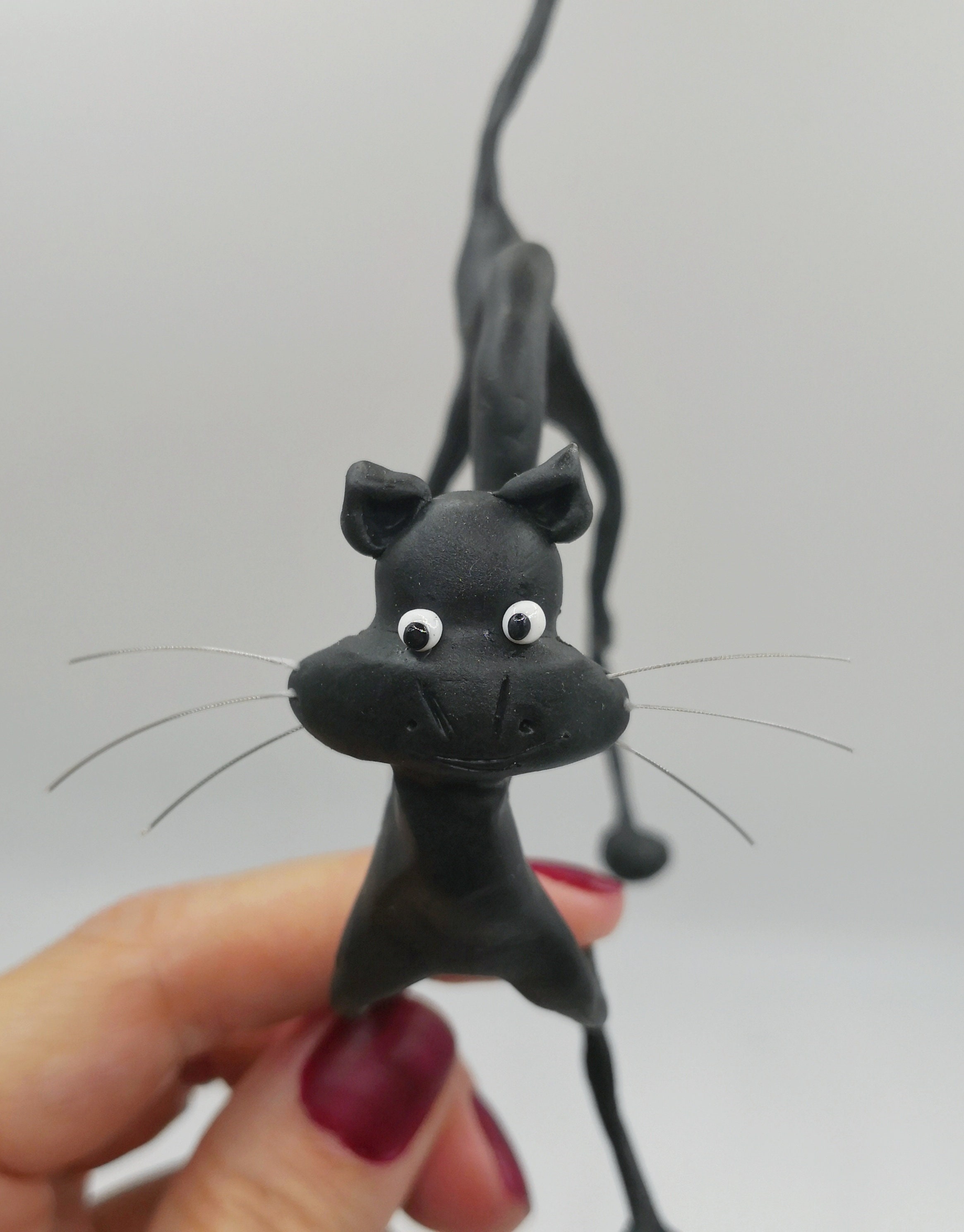 Chat noir drôle, Freddy