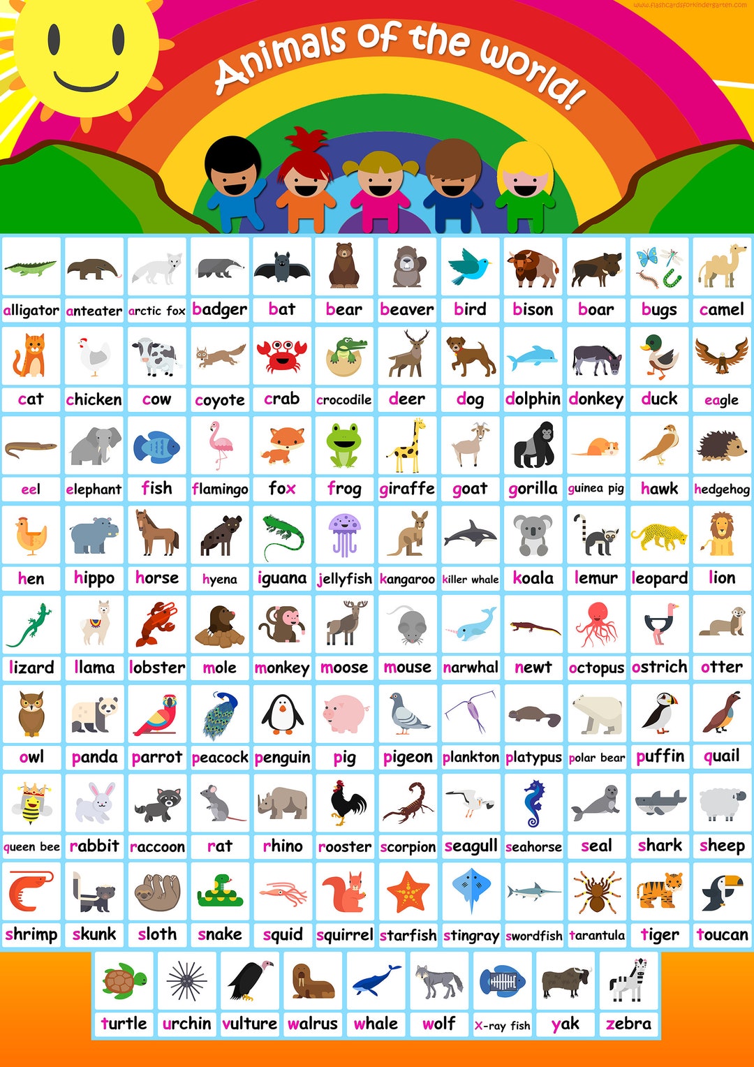 JUNGLE ANIMALS 26 Editable Montessori Cards Flash Cards Nomenclature ...