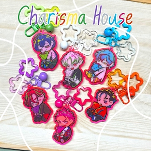 Charisma House Pink and Red 2.5" Acrylic Keychains Charms
