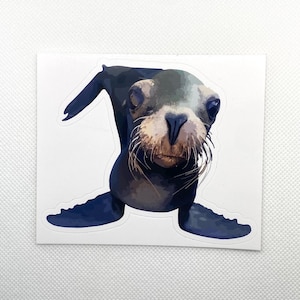 Nosy Sea Lion Sticker