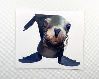 Nosy Sea Lion Sticker