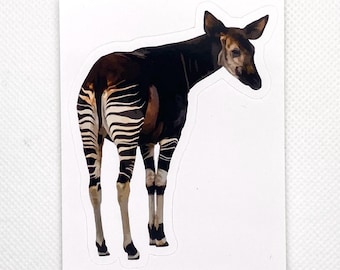Okapi Sticker