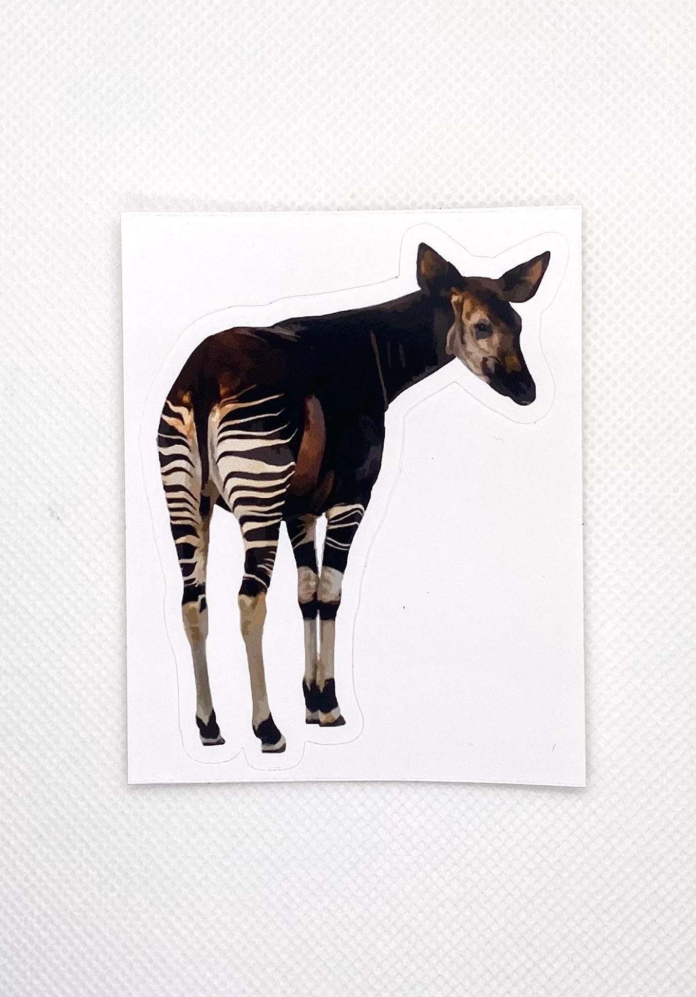 Okapi - Etsy
