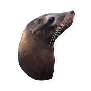 Sea Lion Sticker