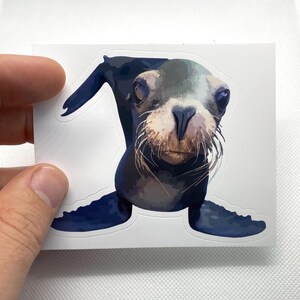 May include: A sticker featuring a cartoon illustration of a seal pup with blue-grey fur, a white muzzle, and black whiskers. The seal pup is looking directly at the viewer.