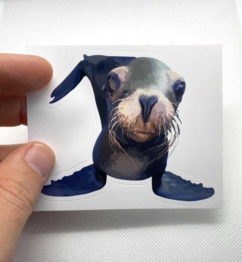 May include: A sticker featuring a cartoon illustration of a seal pup with blue-grey fur, a white muzzle, and black whiskers. The seal pup is looking directly at the viewer.