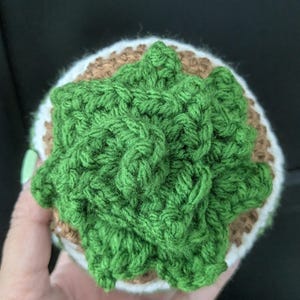 crochet succulent in planter