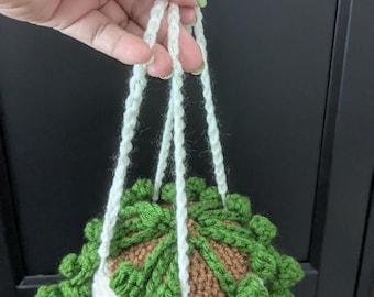 planta colgante en jardinera
