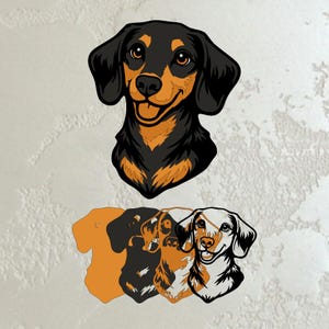 Könnte beinhalten: Eine digitale Illustration eines Dackel-Kopfes mit schwarzem und braunem Fell und einem lächelnden Gesichtsausdruck. Darunter werden drei zusätzliche Dackel-Umrisse in verschiedenen Farben angezeigt.