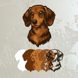 以下が含まれることがあります： 茶色の濃淡で描かれたダックスフントの犬の頭部の詳細なイラスト。下には、白、茶色、タンなど、同じ犬のさまざまな色の様式化されたシルエットがいくつかあります。このアートワークは、ヴィンテージのイラストスタイルです。