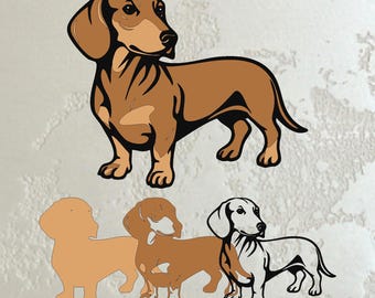 Puede incluir: Ilustración de un perro salchicha marrón y negro. El perro está de pie, con la cabeza girada hacia un lado. Debajo de la imagen principal hay tres ilustraciones adicionales de perros salchicha en diferentes colores y estilos.