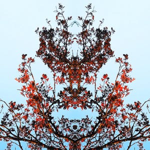 Contemporary wall hanging decoration