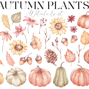 Aquarell Kürbis Clip Art Herbstlaub Pflanzen Handgezeichnete Naturobjekte Herbst botanisches Set Kürbisse Clipart Fallende Blätter Herbstblumen