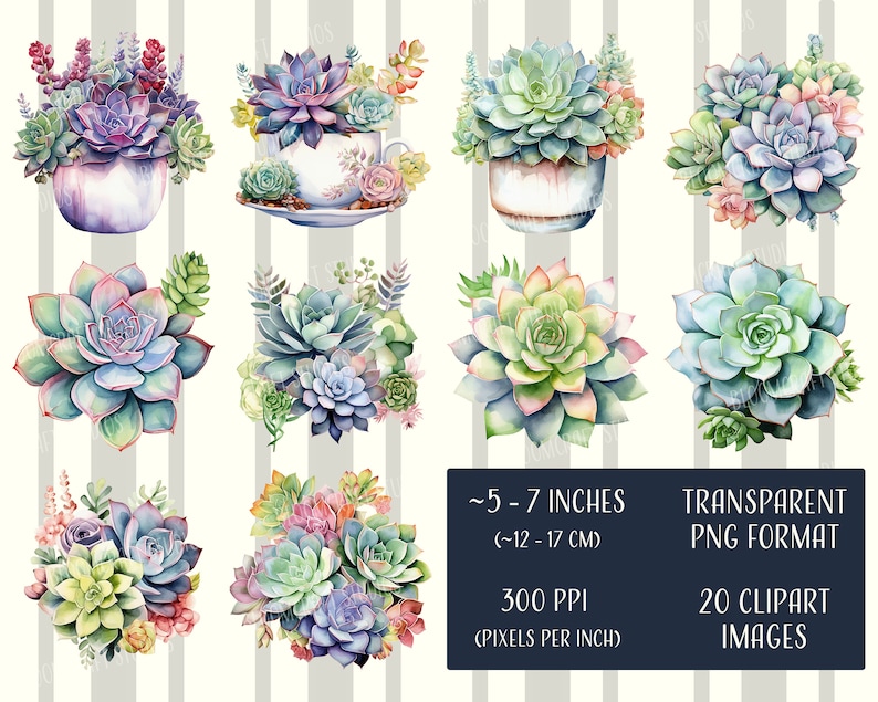 Succulent Clipart - Printable Images, Transparent Background, Instant ...