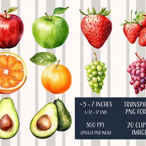 Fruits Clipart - Printable Images, Transparent Background, Instant ...