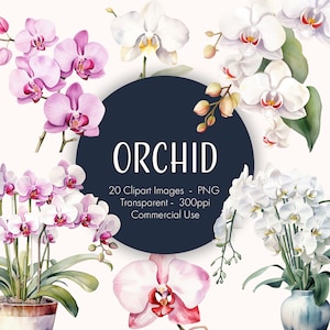 May include: A set of 20 watercolour illustrations of orchids in pink and white. The images are PNG files, transparent, 300ppi, and for commercial use. The text "Orchid" is in a circle with a dark blue background.