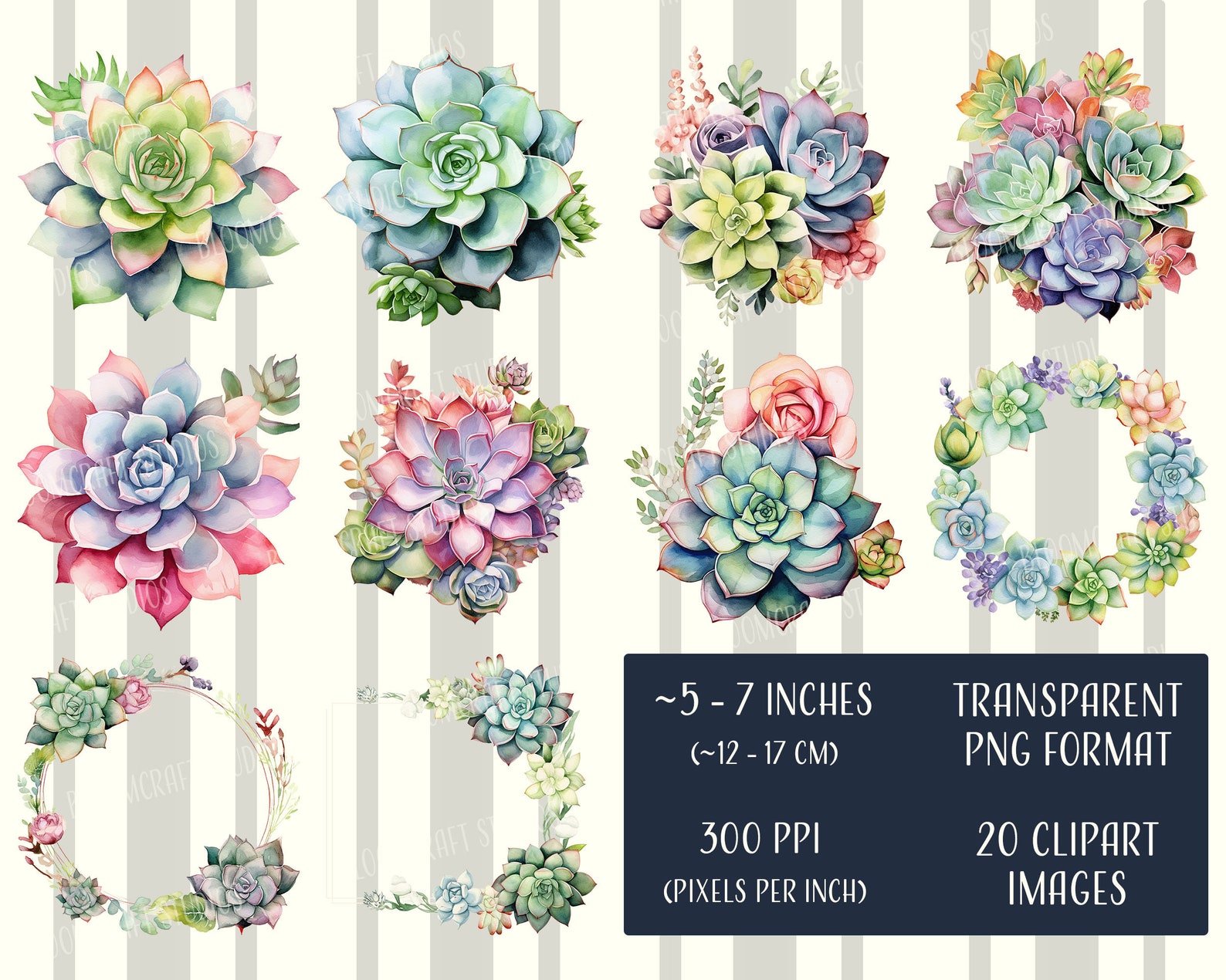 Succulent Clipart Printable Images, Transparent Background, Instant ...