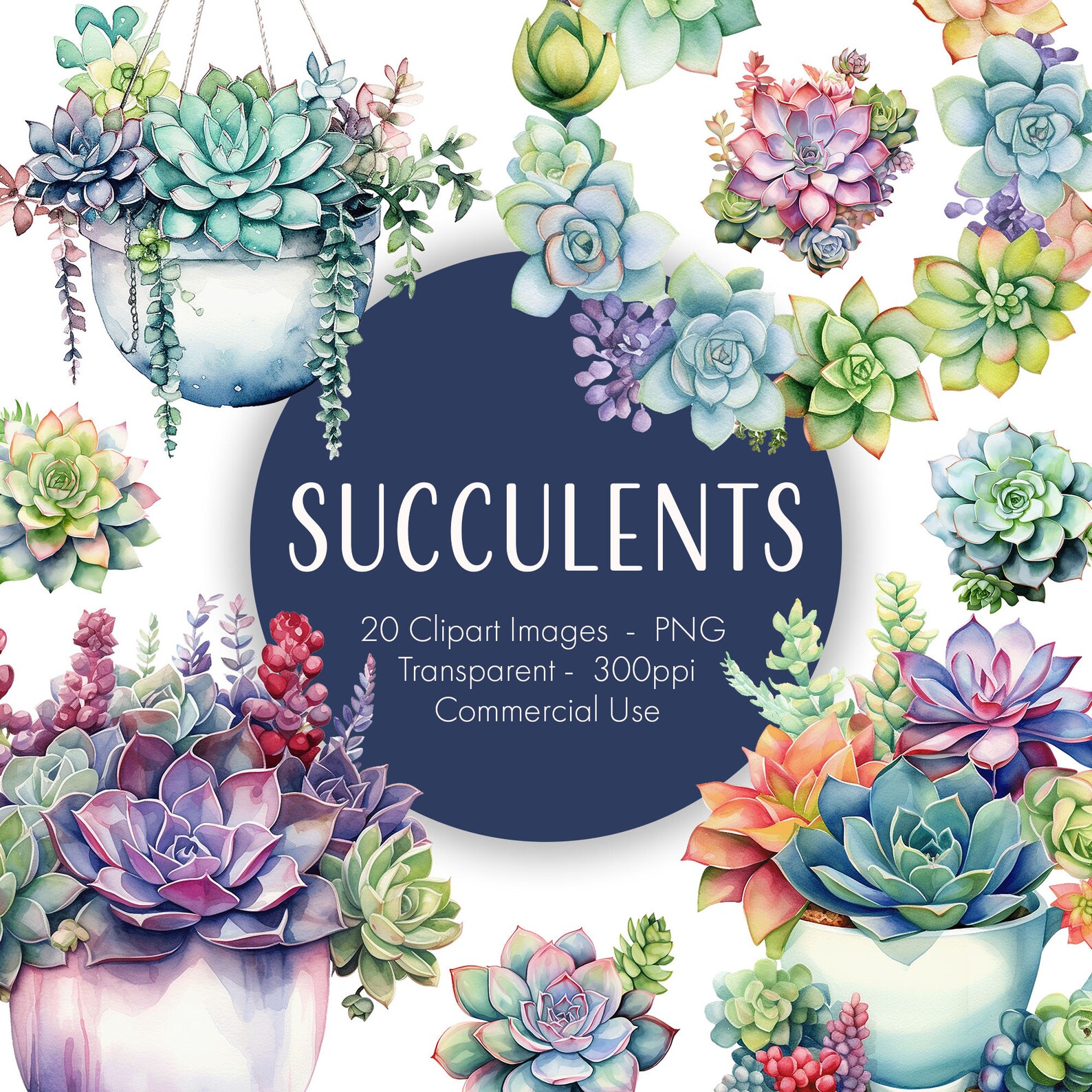 Succulent Clipart - Printable Images, Transparent Background, Instant ...