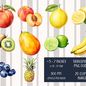 Fruits Clipart - Printable Images, Transparent Background, Instant ...