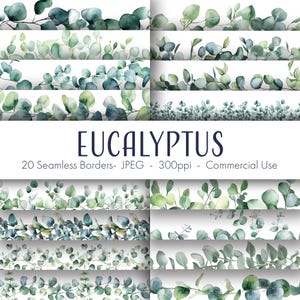 Eukalyptus Seamless Borders, druckbares digitales Papier, kommerzielle Nutzung, JPEG-Format, sofortiger Download