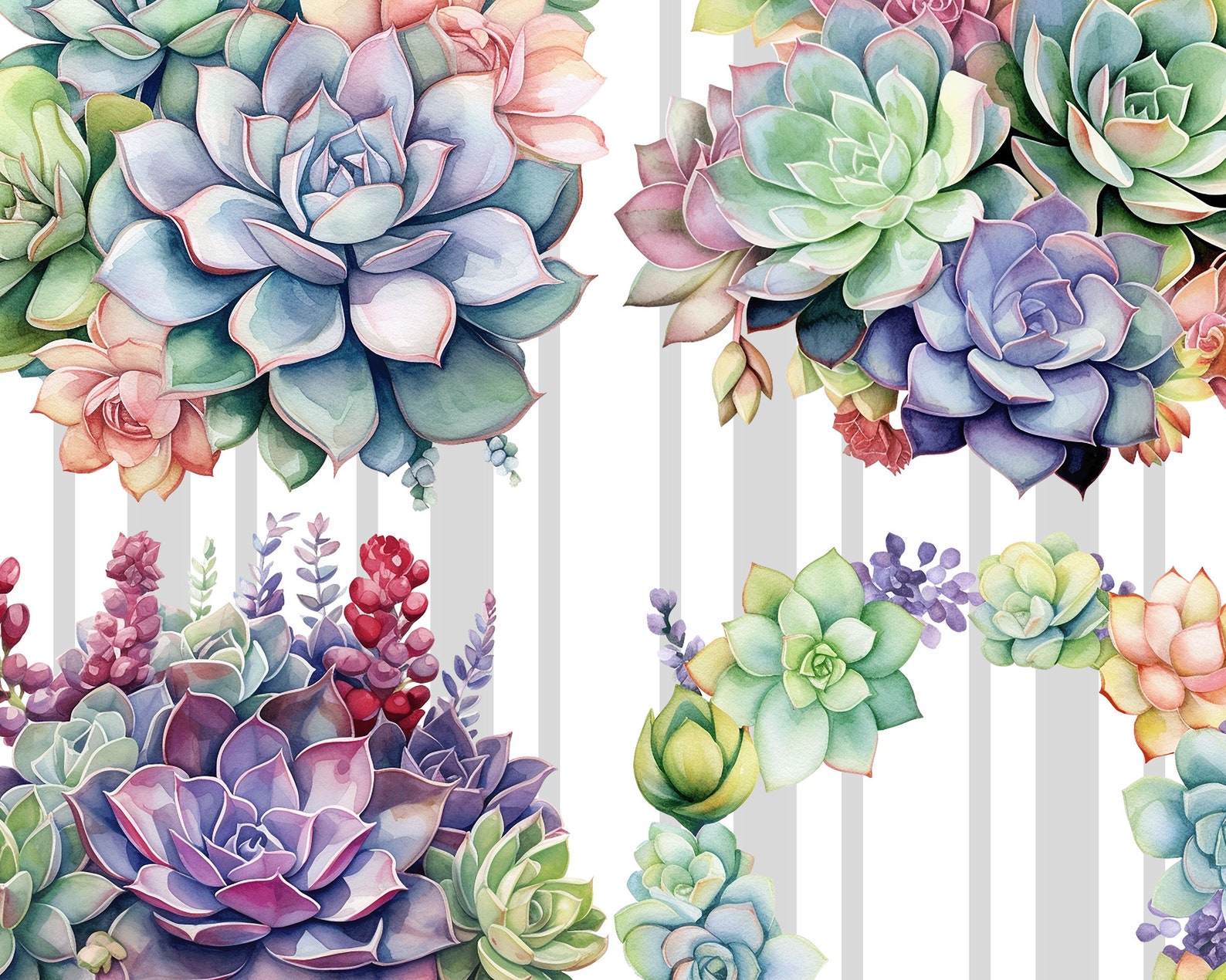 Succulent Clipart Printable Images, Transparent Background, Instant ...