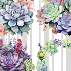 Succulent Clipart - Printable Images, Transparent Background, Instant ...