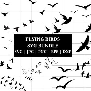Ensemble de silhouette d'oiseaux - oiseau svg, Silhouette d'oiseau, volée d'oiseaux, silhouette de cygne, perroquet svg, tatouage d'oiseaux, lot de Svg d'oiseau, oiseau en vol