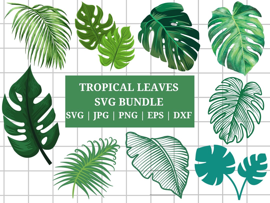 Tropical Leaves Svg | Monstera Leaf Svg Clipart | Commercial Use Svg ...