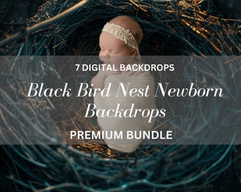 Buy 1 Get 6 Free Newborn digital backdrops Portrait photography Black Bird Nest
