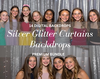 14 Silver Glitter Curtains Digital Backdrop Group of Friends Party Portrait Background Overlays Photoshop.
