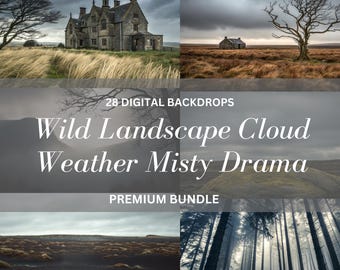 Wild Landscape Photography Overlays: Misty Weather Digital Backdrops (28 JPEG)